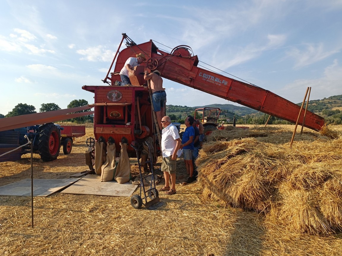 Festa della trebbiatura 2022 Bastia Umbra