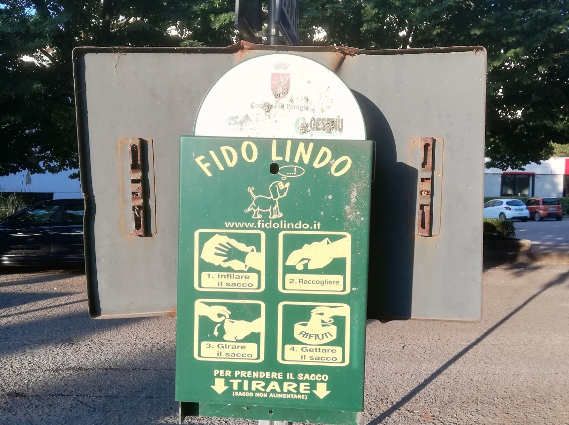 cani parco