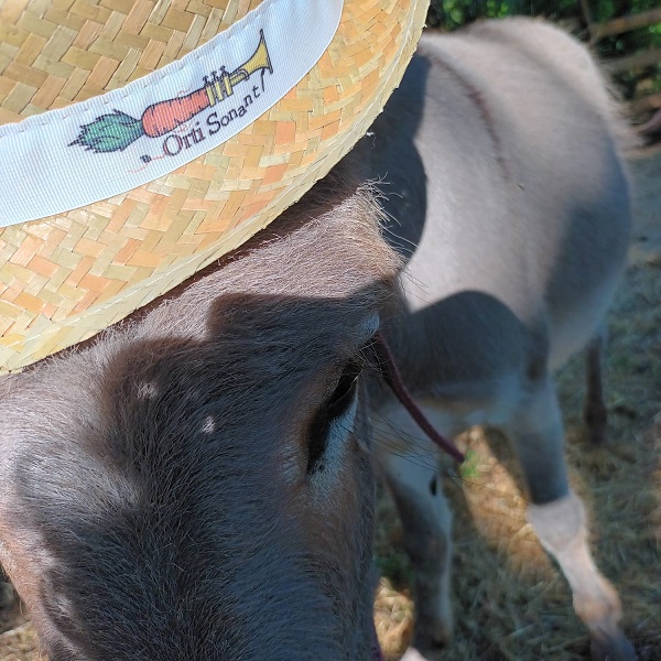 orti sonanti_camillo