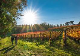 Sagrantino Experience 2021(1)