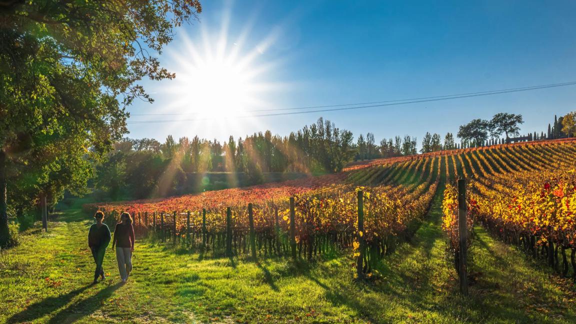 Sagrantino Experience 2021(1)