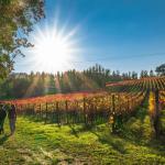 Sagrantino Experience 2021(1)