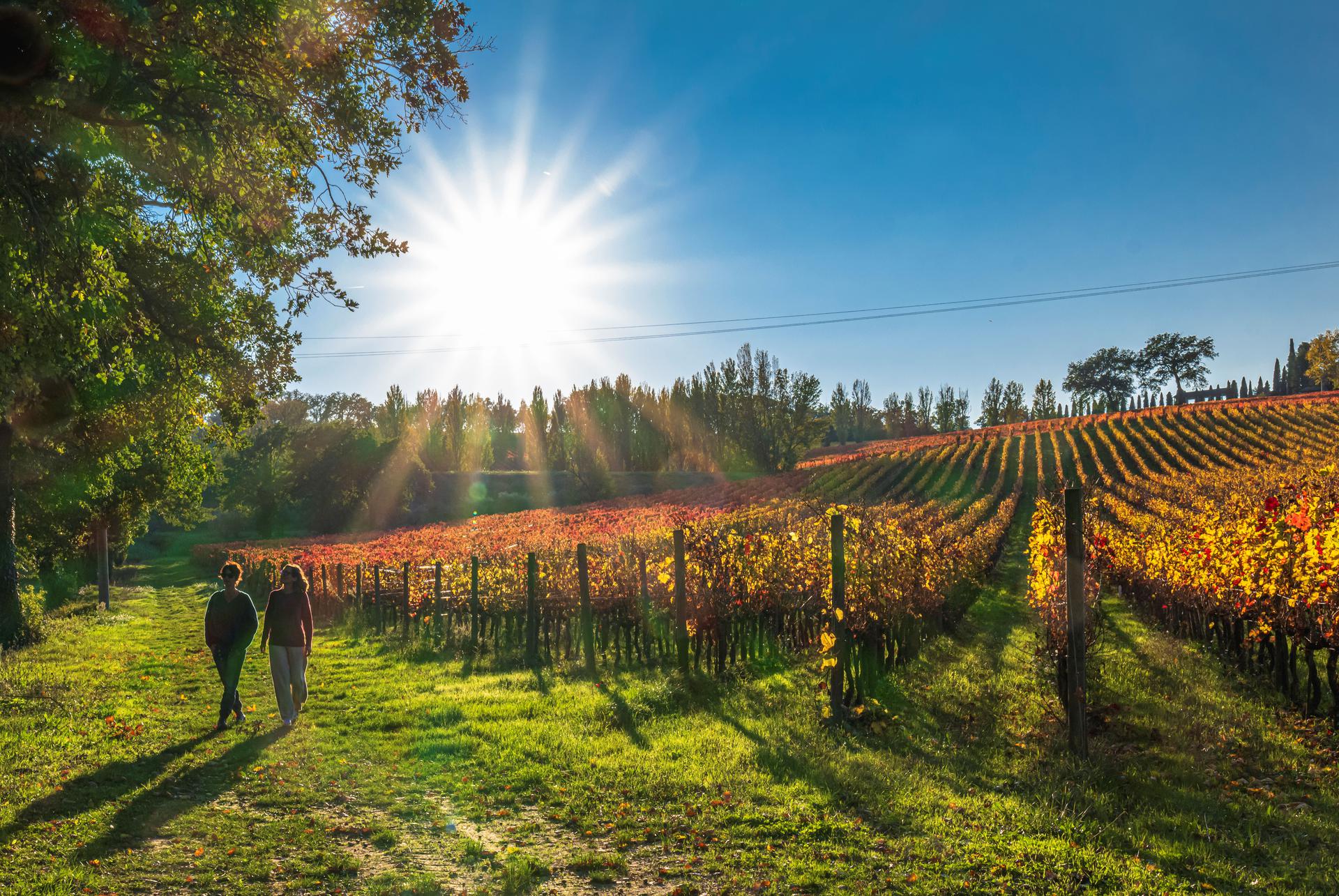 Sagrantino Experience 2021(1)