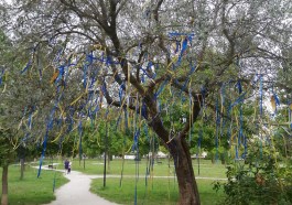 pro ponte Olivo della pace