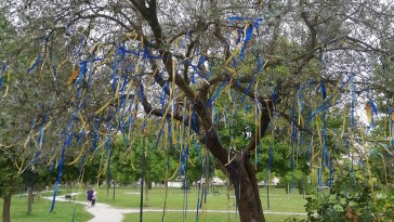 pro ponte Olivo della pace