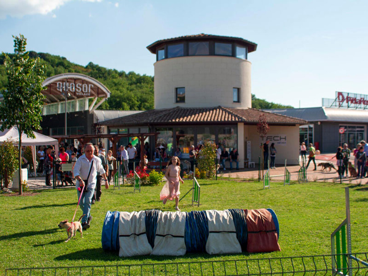 quasar village gruppo cinofilo