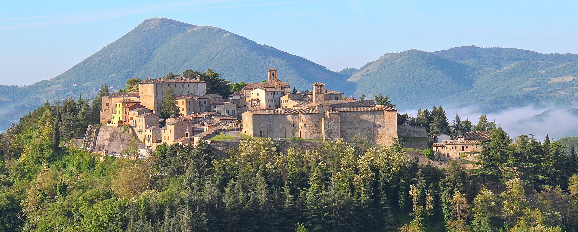 Montone