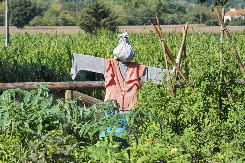 Orti felici_Fondazione perugia