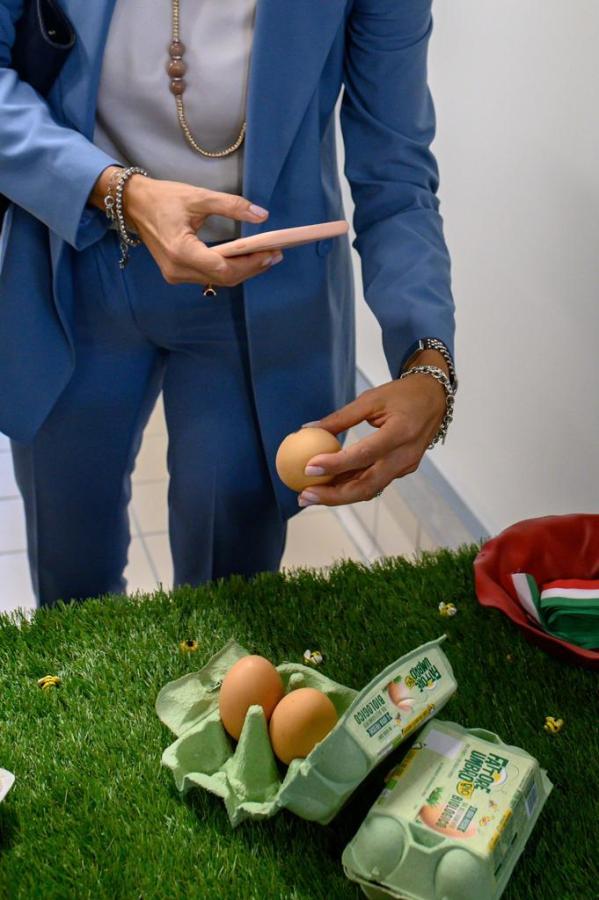 fattore umbro mette il codice sulle uova