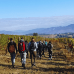 sagrantino trek in autunno