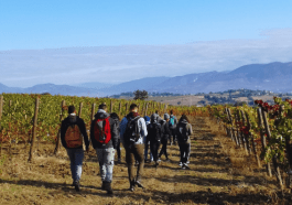 sagrantino trek in autunno