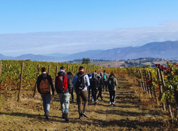 sagrantino trek in autunno