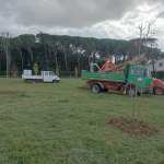 Piantumazione alberi Umbertide
