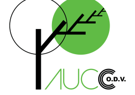 aucc logo