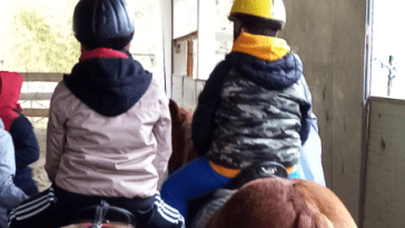 fise, bambini, cavalli