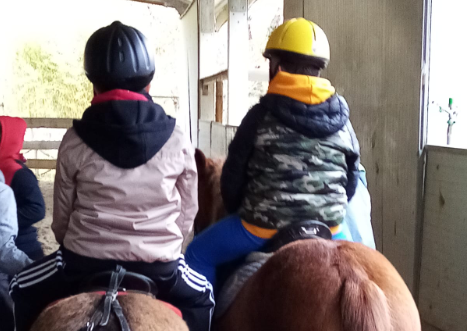 fise, bambini, cavalli