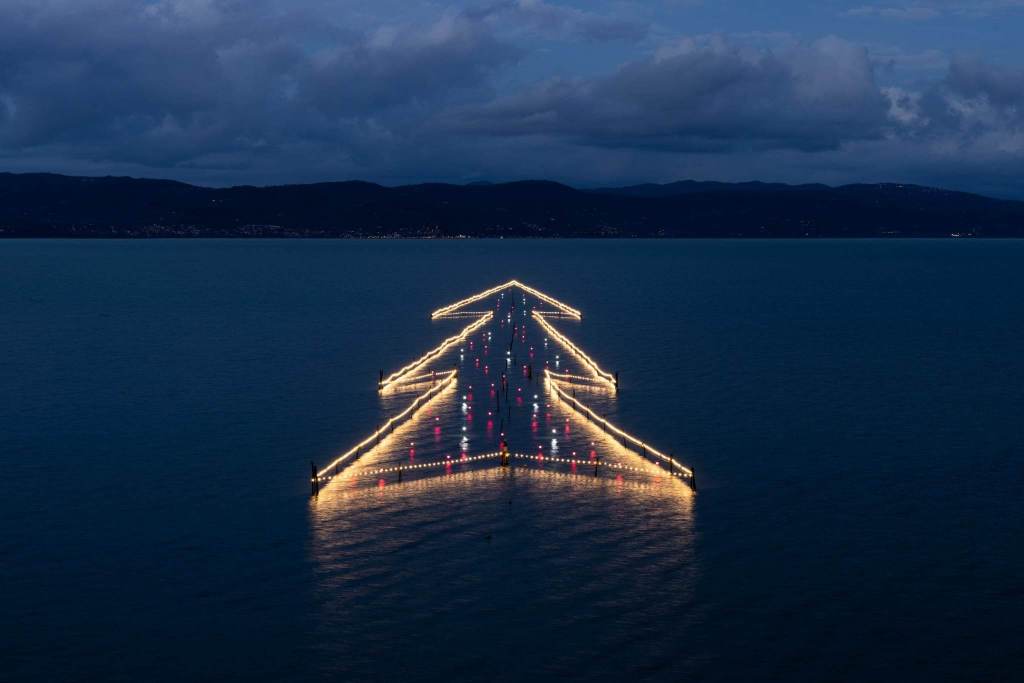 albero sull'acqua imbrunire