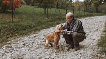 cagnolino Leo su Topolino