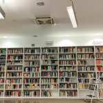 Biblioteca Sandro penna 2_foto fracec