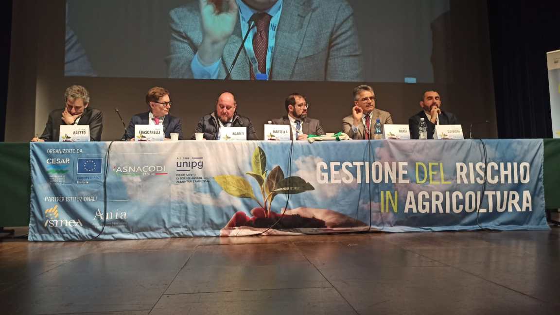 Convegno gestione rischio in agricoltura Assisi