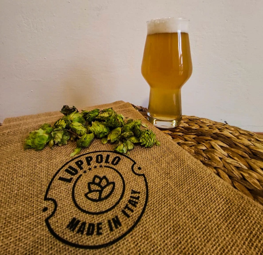 Luppolo made in italy_birra e luppolo