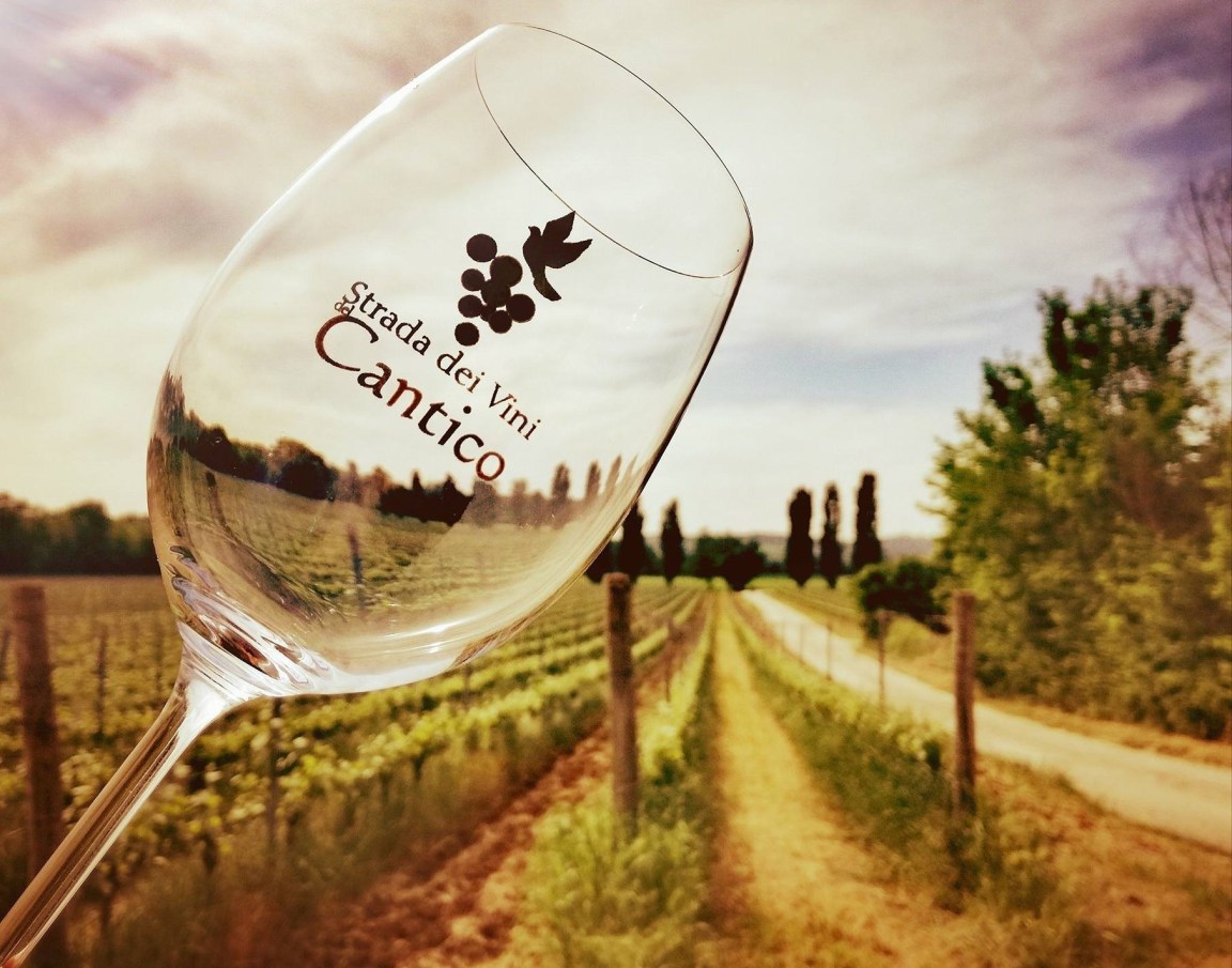 Strada dei vini del cantico