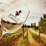 Strada dei vini del cantico