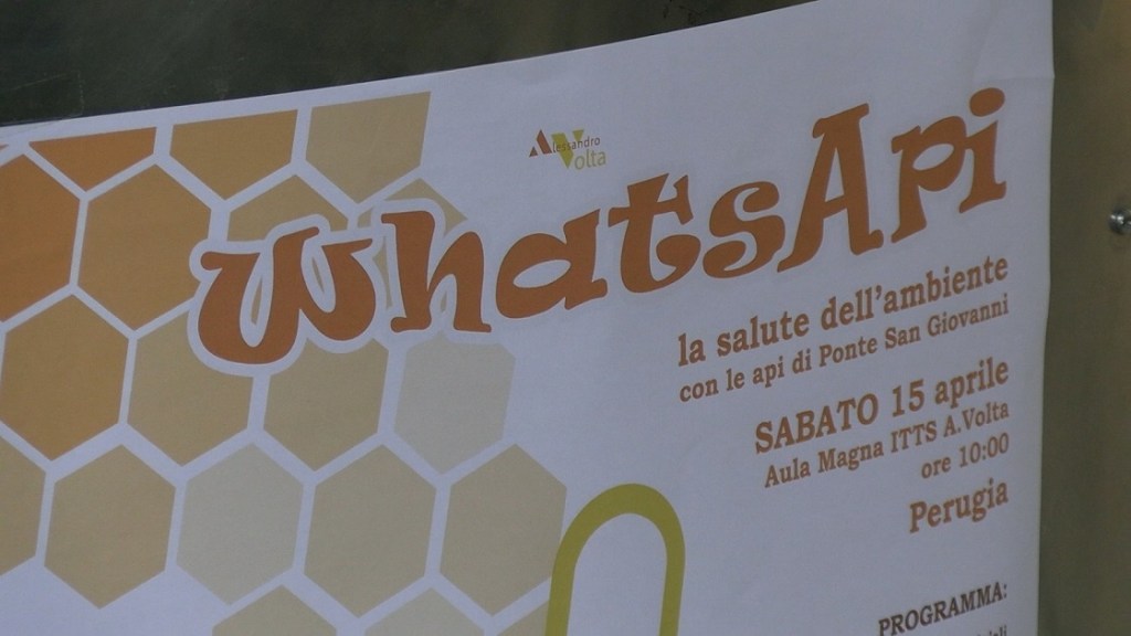 Itts Volta evento conclusivo progetto WhatsApi 