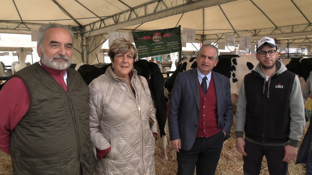 Mucche Grifo Latte Agriumbria 