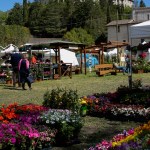 Primavera in Valnerina
