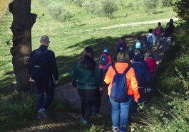 Sagrantino Green Trek