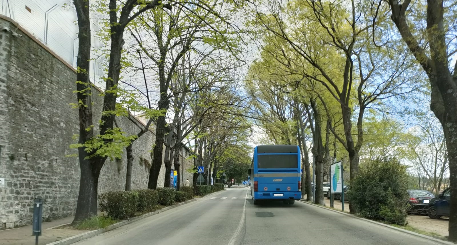 bus autobus Perugia