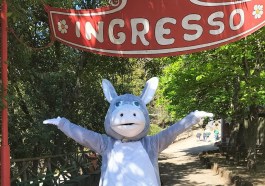 mascotte Burro Città della Domenica