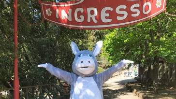 mascotte Burro Città della Domenica