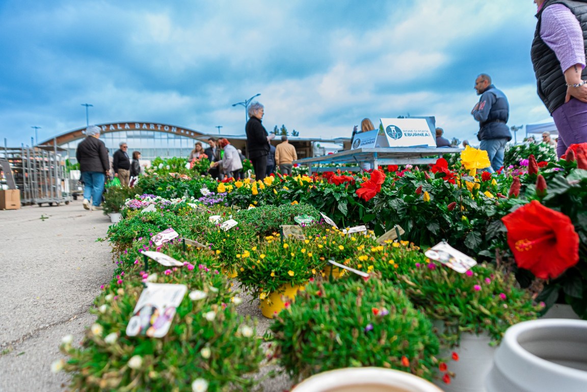 Pian di Massiano in Fiore 2023