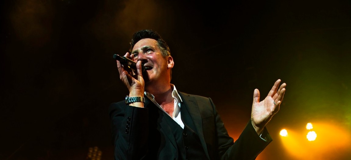 tony hadley