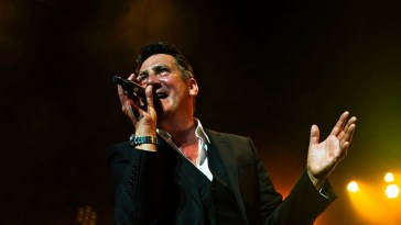 tony hadley