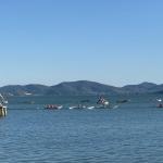 Palio delle barche repertorio