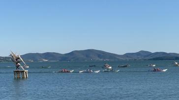 Palio delle barche repertorio