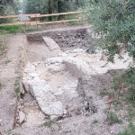 Risultati preliminari scavi di Castiglione