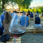 Vigne e Note_ph Strada del Sagrantino