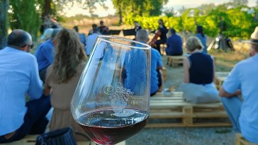 Vigne e Note_ph Strada del Sagrantino