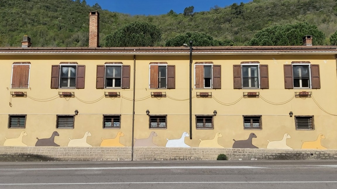 fattoria Le Pecore Gialle