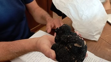 convegno Intact Pietralunga