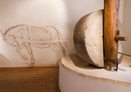 10b.MOO Museo dell'Olivo e dell'Olio - Fondazione Lungarotti, Torgiano - Frantoio a trazione animale