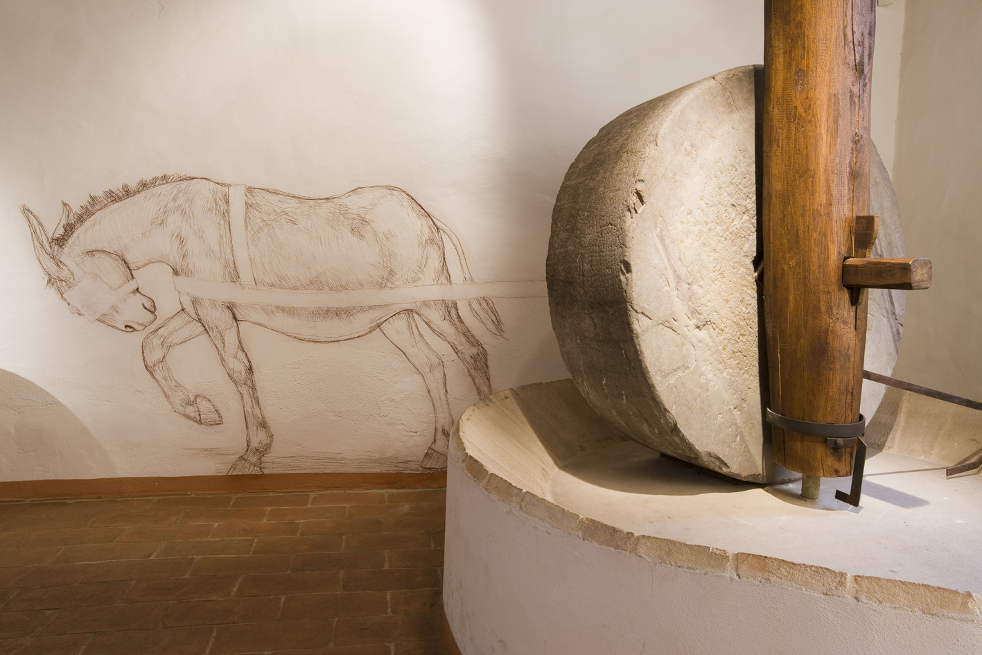 10b.MOO Museo dell'Olivo e dell'Olio - Fondazione Lungarotti, Torgiano - Frantoio a trazione animale