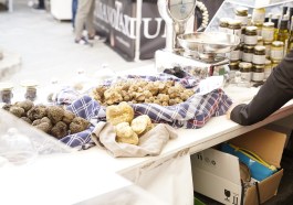 Mostra tartufo bianco e patata_pietralunga