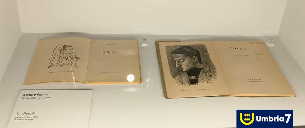 Mostra Sandro Penna Gnu