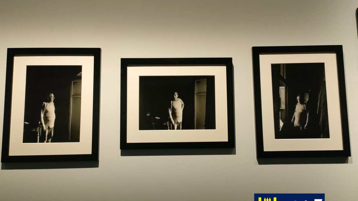 Mostra Sandro Penna Gnu