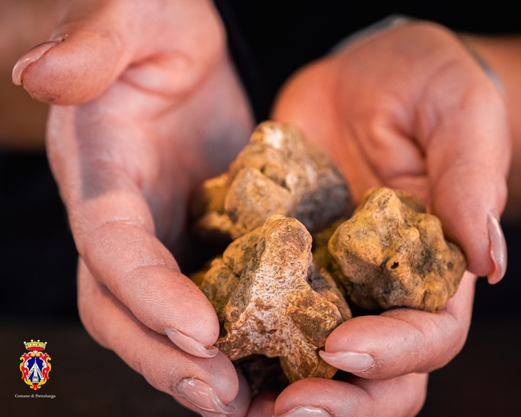 MostraMercato Pietralunga 2023_foto Comune di Pietralunga (1)